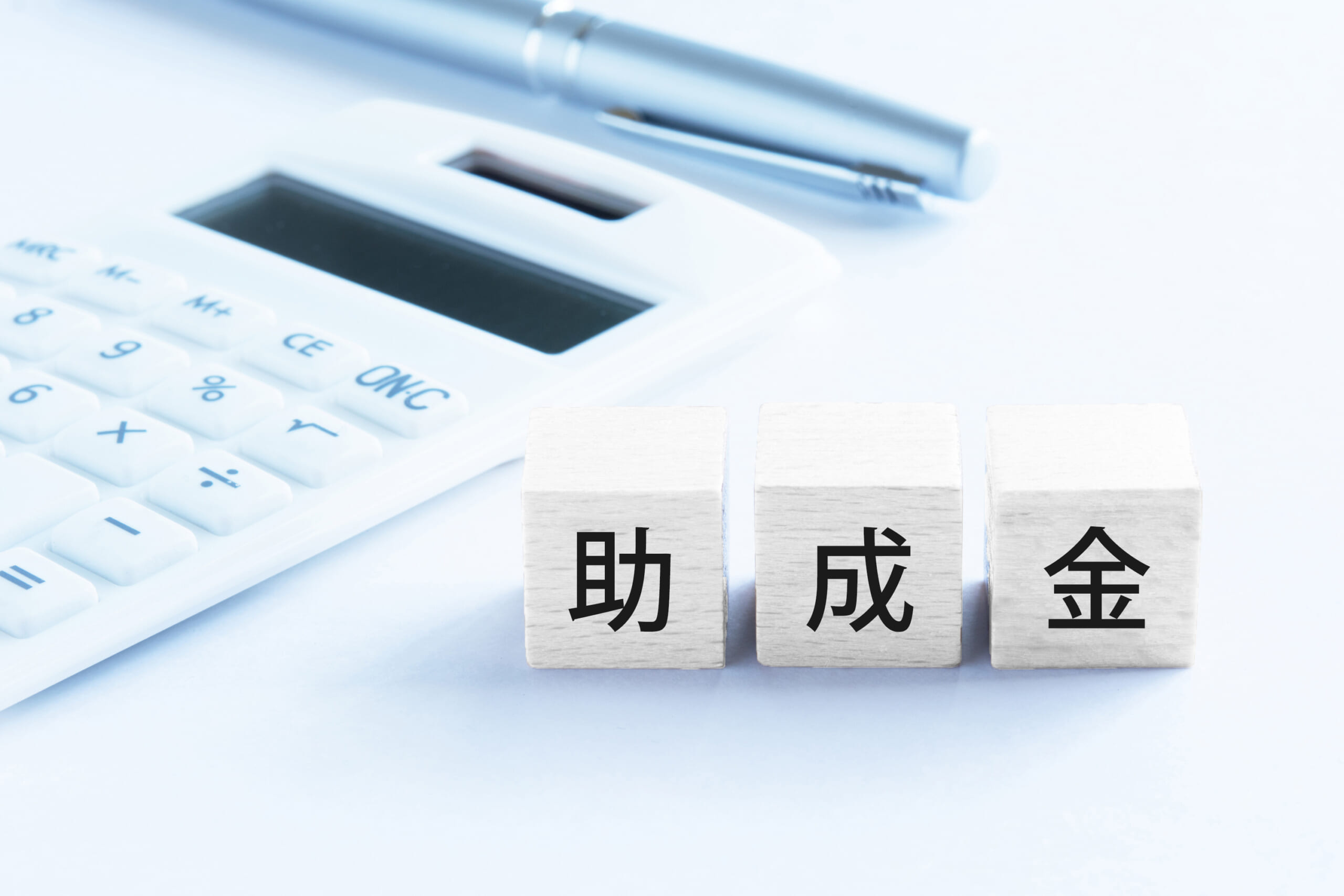 企業誘致 移住 子育てを支援 芦北町の助成金 補助金について紹介 With Kumamoto